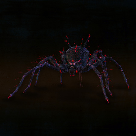 Dangerous and poisonous spider. Illustration.の写真素材