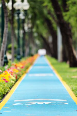 Bicycle lane in the park.の写真素材