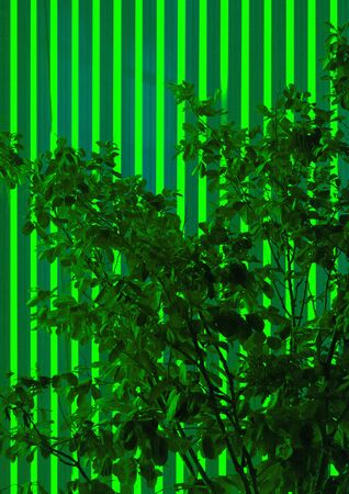 Bright, vivid and beautiful night lights.の写真素材