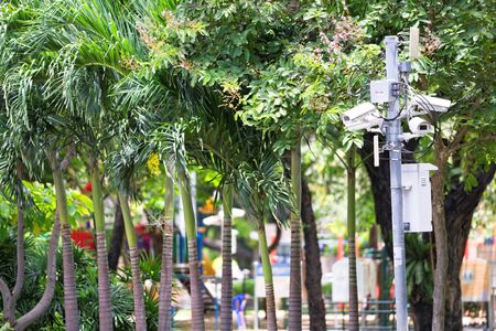 BANGKOK, THAILAND - AUGUST 31, 2016: Beautiful Lumphini park in downtown of Bangkok.のeditorial素材