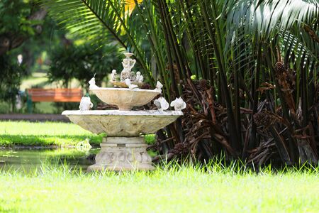 Scenic view in tropical garden.の写真素材