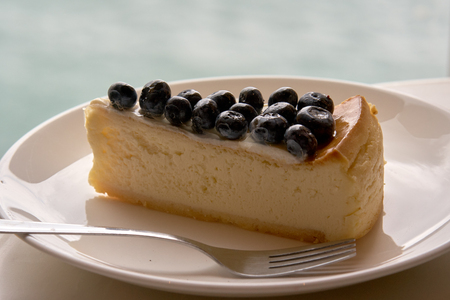 Delicious blueberry dessert cheesecake on a plate.の写真素材