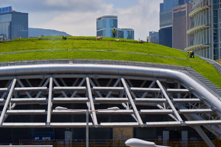 HONG KONG - JULY 1, 2018: View on workers creating green roof with Hong Kong cityscape in background. Urban environment and ecosystem concept.のeditorial素材