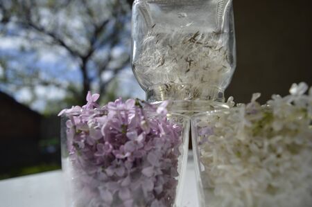Pyramid of spring flowers in jars.のeditorial素材
