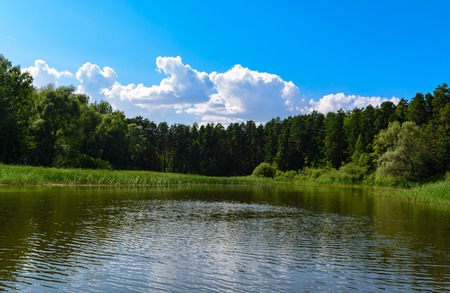 Beautiful landscape with blue sky and white clouds reflected in the clear river water. Wooded waterside of a mountain lake. Summer idyllic landscape.の写真素材