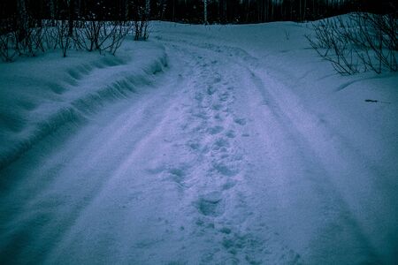 Winter landscape, footprints in the fresh snow. tintedの写真素材