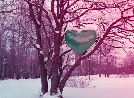big green heart on the tree, nature conservation, ecology. pink tonedの写真素材