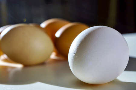 eggs on the table under the rays of the morning sun, close-upの写真素材