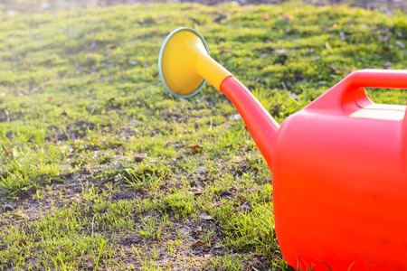 Red Garden watering can on green grass, in the sun.の写真素材