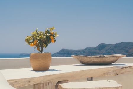 Kumquat fruit ripe on a young tree standing on a wooden table on a background of mountains and the sea in the sun.の写真素材