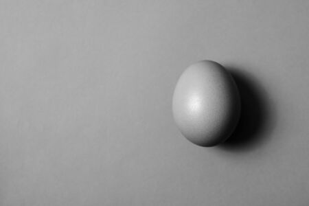 Minimalism. Black and white image with one egg with copy space.の写真素材