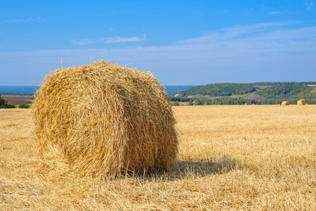 Round haystack in field after haymaking, copy space, agricultural industry concept