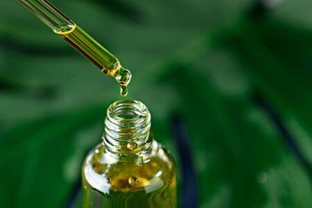 close-up of glass bottle with pipette and cosmetic yellow oil on green plant background, drop of...