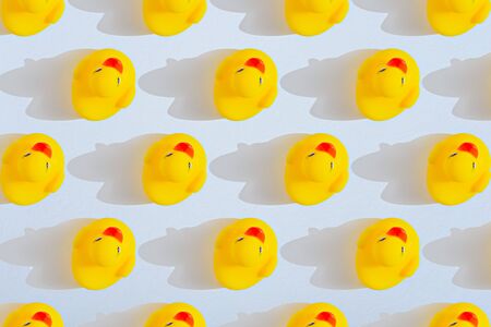 top view pattern of yellow toy ducklings with shadow