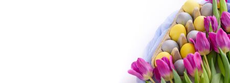 purple tulips with Easter colored eggs on white background for banner, Easter concept with copy...