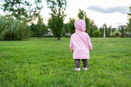 small child in pink sweatshirt studies world around him, nature, connecting with nature, Outdoor walkingの写真素材