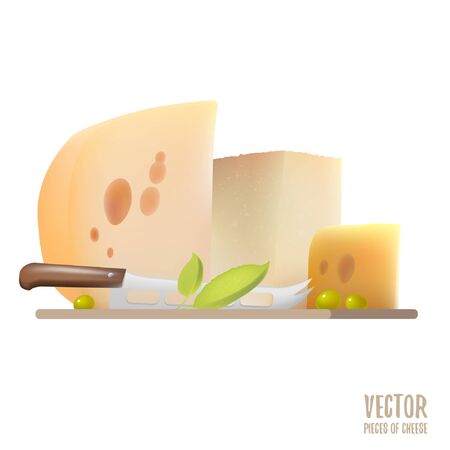 Pieces of cheese. Vector foodのイラスト素材