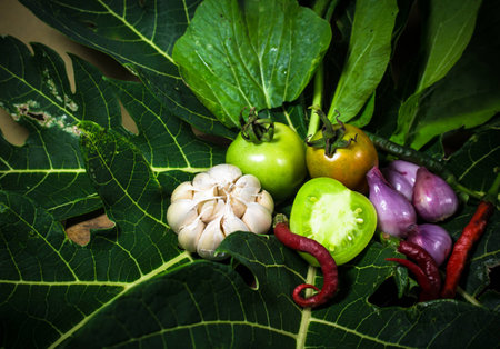 Various vegetables on papaya backgroundの写真素材