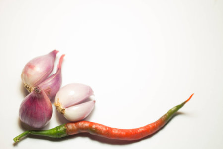 Red onion and Chiliの写真素材