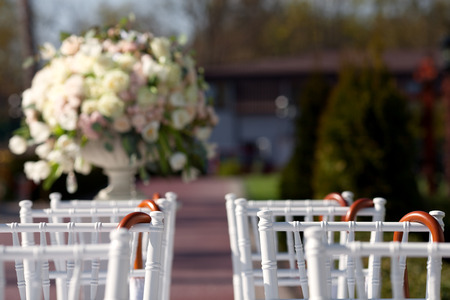 Row of wedding chairsの写真素材