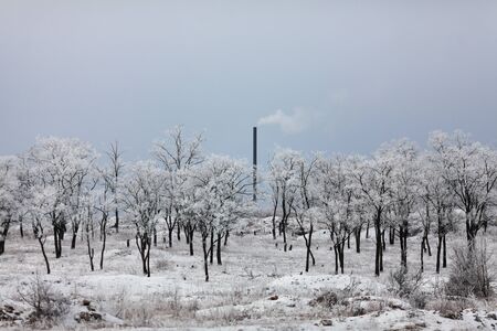 Winter landscape with trees and pipeの写真素材