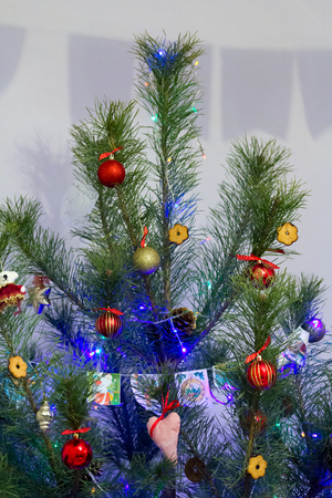 In the family holiday Christmas spruce decided to dress up balls, toys and flagsの写真素材