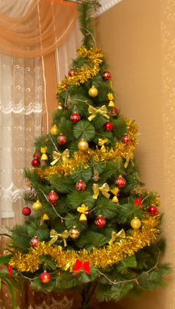Green Christmas tree in a rich red and gold outfit with glossy and matte glass balls, delicate yellow bows and chocolates. And all this is crowned with tinsel and garlands with red lightsの写真素材