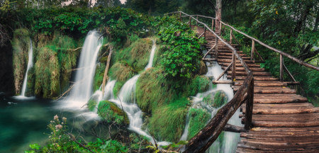 Waterfall in the lush green forest with long wooden stairway.の写真素材