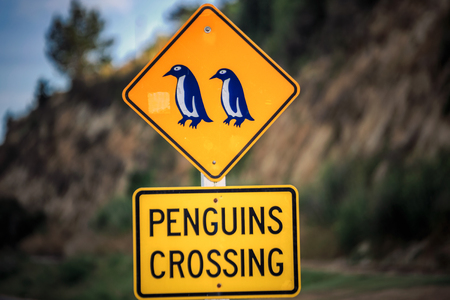 Penguin crossing sign at Oamaru in the South Island of New Zealand. Omaru is home to the blue penguin.の写真素材