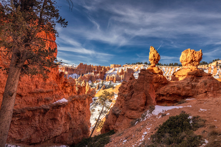 Winter in Bryce Canyon National Park, Utah, USAの写真素材