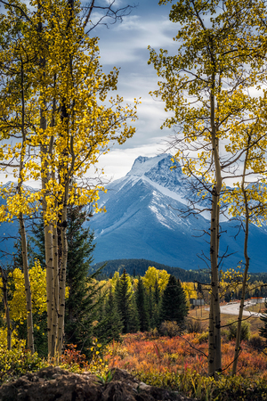 Yellow larches and snowy mountains at Kananaskis National Park, Canada.の写真素材