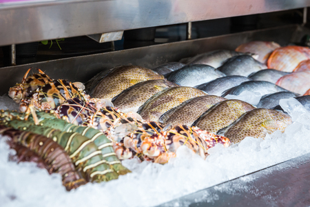 Fresh fish sold on the counter in the exotic market in Thailandの写真素材