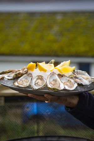 Oysters wiith lemon for dinner in scottish restaurantの写真素材