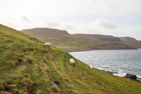Beautiful autumn panoramic landscape in Scotland, wet weather outside