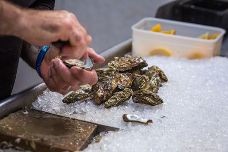Preparing oysters  for dinner in scottish restaurantの写真素材
