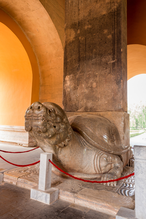 Sculpture of a turtle behind a red fencing indoors.の写真素材