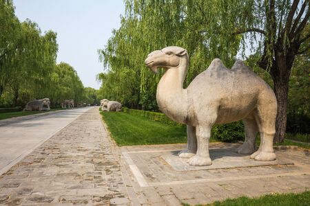 Statue of a camel in the park on a background of trees.の写真素材