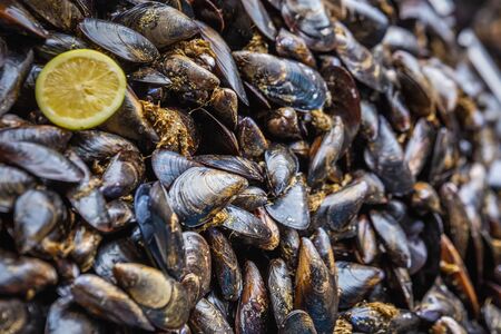 Mussels in the net at one of the fish stall that you can find at the fish market in Catania. Italy.