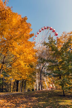 Minsk ferris wheel autumn shot from low point at Minsk, Belarus.の写真素材
