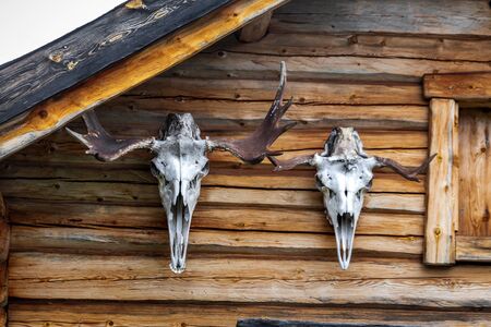 Wooden house with two elk skulls at Kiruna, Sweden.の写真素材