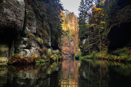 River with autumn leaves and boulders on the river Kamenice in Bohemian Switzerland. Near the Wild Gorge.の写真素材