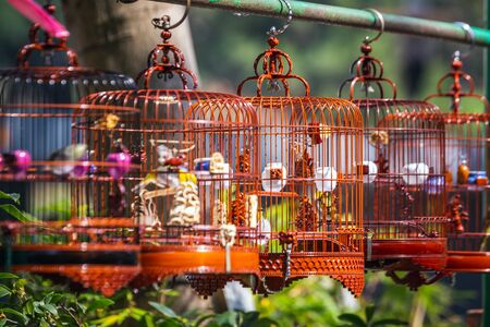 Birds in cages for sale at Birds market, Kowloon Hong Kong, popular tourist destination.の写真素材