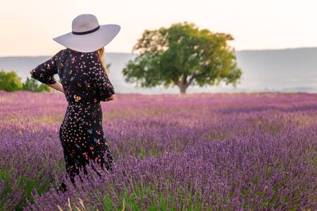 Girl in a dress with flowers and big white hat in the lavender fields in Provence, Valensole, France. Picturesque summer nature landscape and agriculture area. Popular travel destination.の写真素材