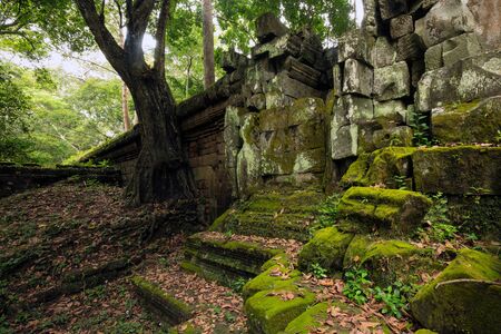 Old moss stones at Angkor Wat, Siem Reap, Cambodia.の写真素材