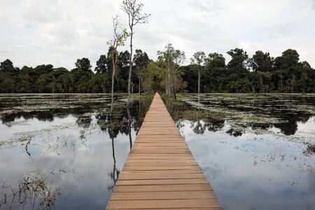 Bridge over Swamp on the way to Neak Pean in complex Angkor Wat in Siem Reap, Cambodia in a summer day.の写真素材