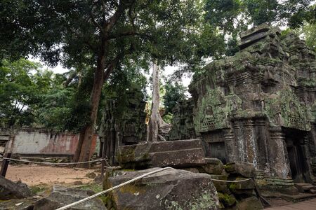 Temple ruins at Angkor Wat, Siem Reap, Cambodia.の写真素材