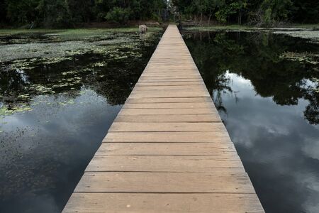 Bridge over Swamp on the way to Neak Pean in complex Angkor Wat in Siem Reap, Cambodia in a summer day.の写真素材