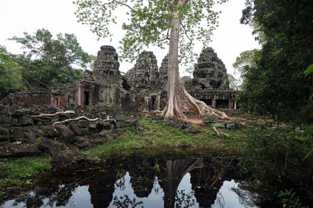Temple ruins at Angkor Wat, Siem Reap, Cambodia.の写真素材