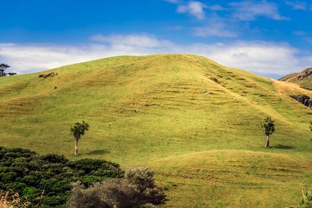 Green hills and blue sky near on the Wharariki beach in National Park. Nelson, South Island, New Zealand.の写真素材