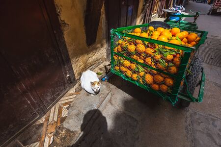 A vendors cart full of oranges in the Medina of Fez.の写真素材